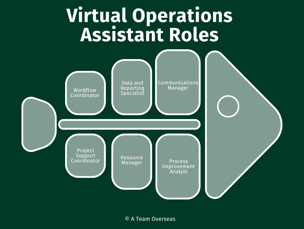 Virtual operations assistant roles